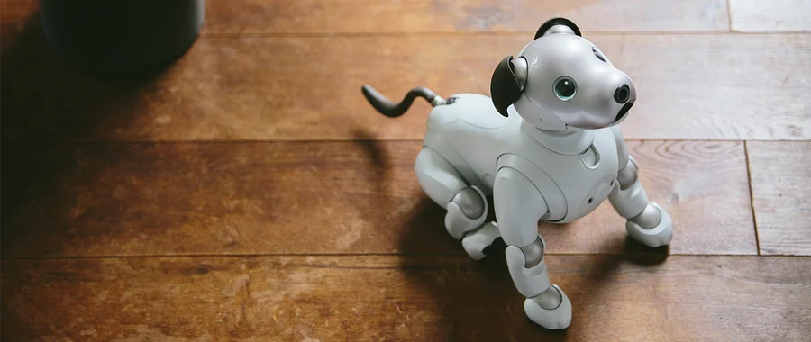 Sony aibo ERS-1000