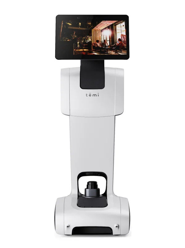 temi temi V3